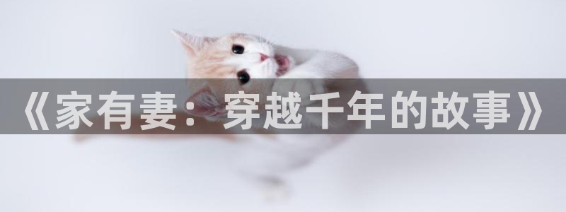 漫画之家重生之道：《家有妻：穿越千年的故事》