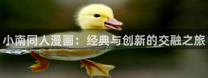 漫画漫画之家：小南同人漫画：经典与创新的交融之旅