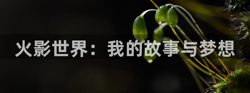彻夜之歌漫画免费漫画之家
