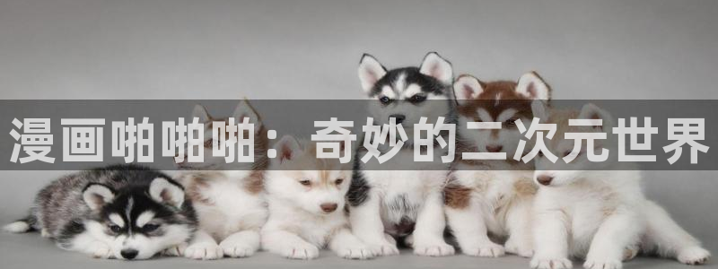 动漫漫画之家：漫画啪啪啪：奇妙的二次元世界