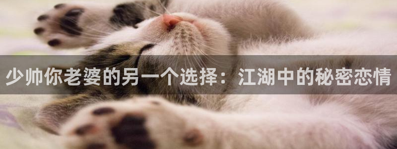 漫画之家官网入口