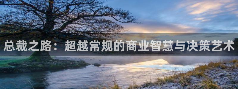 漫画之家app下载：总裁之路：超越常规的商业智慧与决策艺术