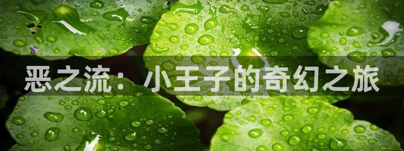 堀与宫村漫画之家：恶之流：小王子的奇幻之旅