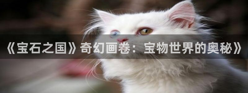漫画之家网页版入口