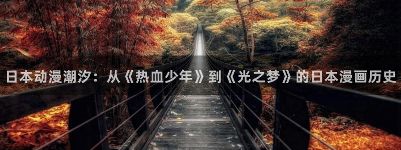 韩国漫画之家：日本动漫潮汐：从《热血少年》到《光之梦》的日本漫画历史