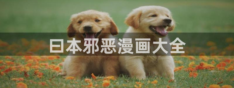 漫画之家免费漫画入口页面在线观看：曰本邪恶漫画大全