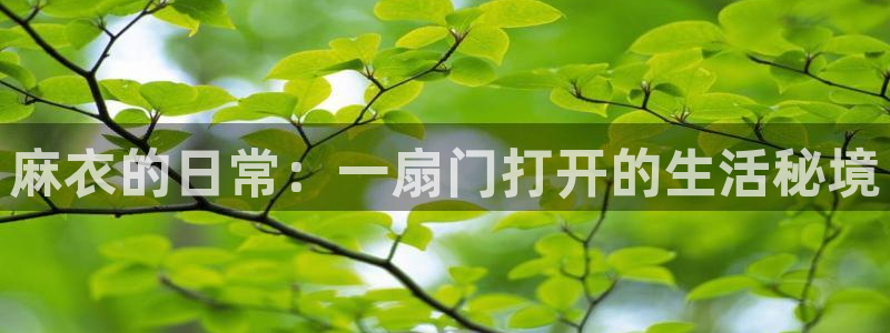 漫画之家首页：麻衣的日常：一扇门打开的生活秘境