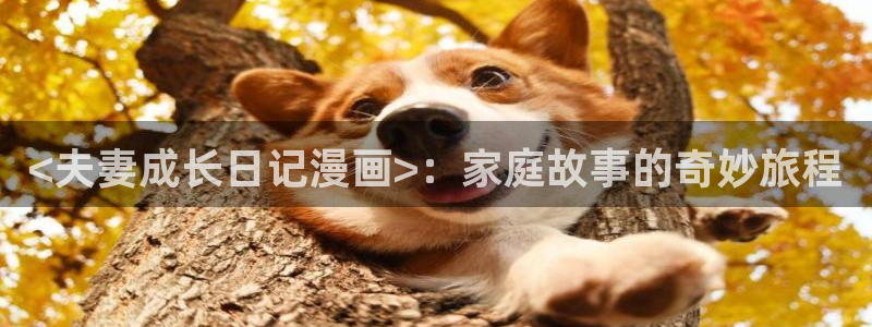 漫画之家官网_漫画之家：<夫妻成长日记漫画>：家庭故事的奇妙旅程