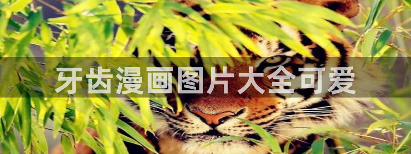韩国漫画之家：牙齿漫画图片大全可爱