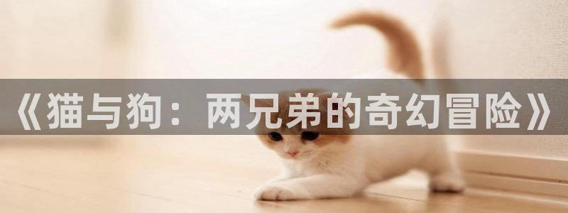 软件漫画之家