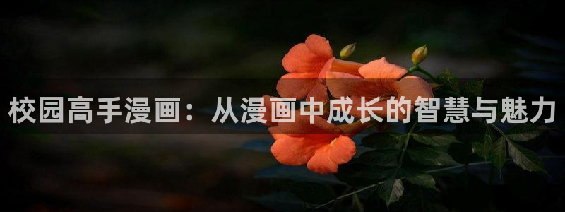 漫画之家：校园高手漫画：从漫画中成长的智慧与魅力
