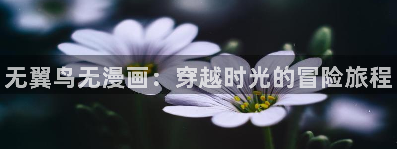 漫画之家福利漫画：无翼鸟无漫画：穿越时光的冒险旅程